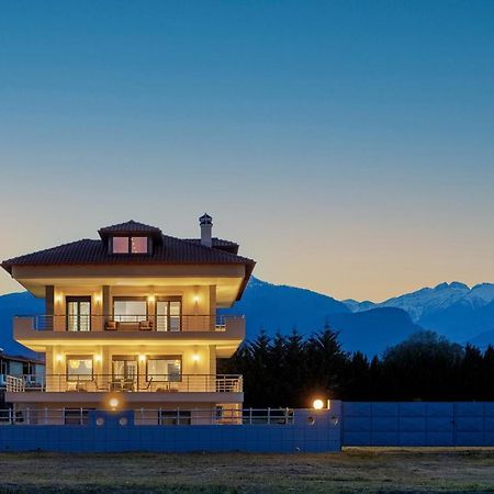 Villa Centaurium, Panel Hospitality Homes & Villas Λιτόχωρο Εξωτερικό φωτογραφία